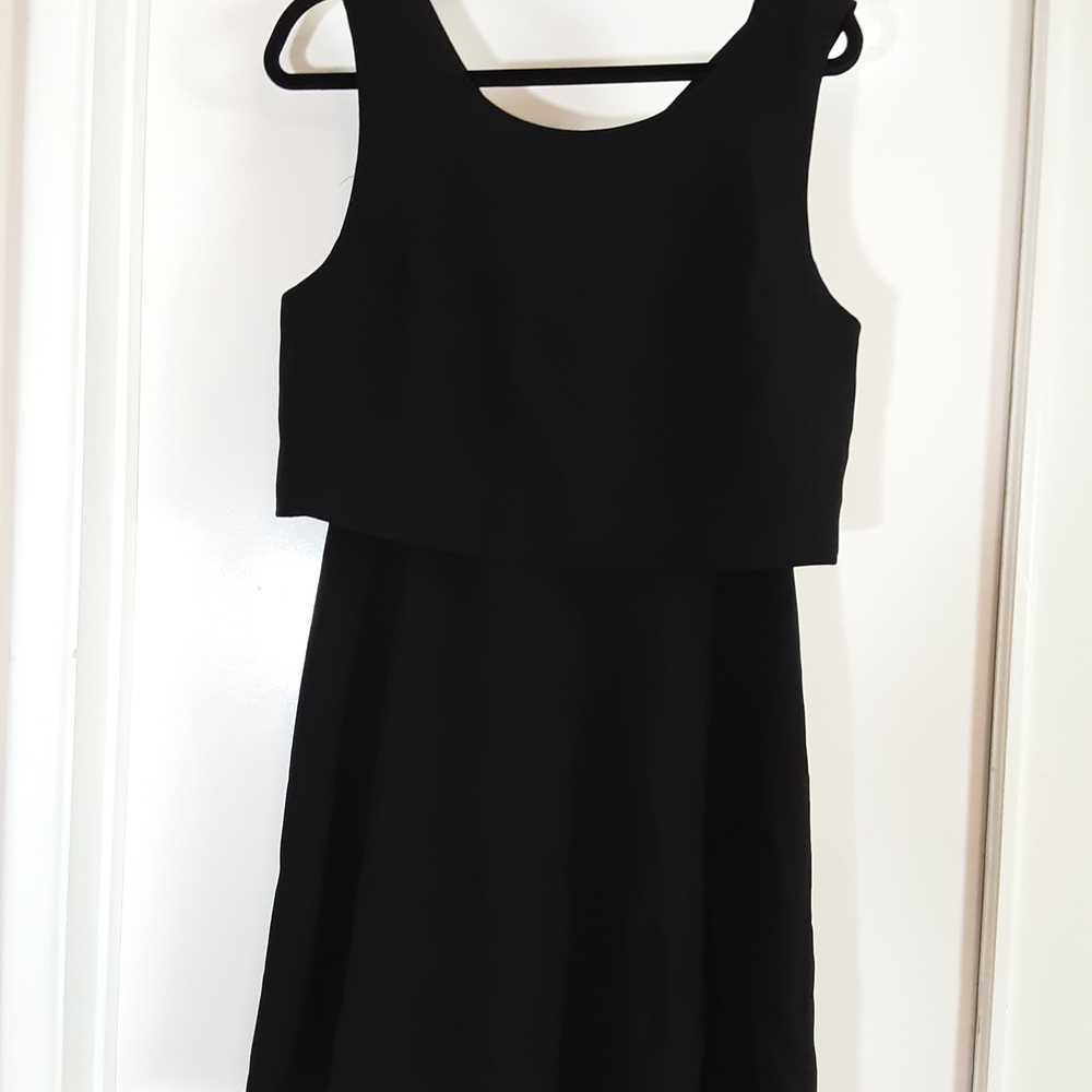 Fifteen Twenty Classic Black Tank Dress